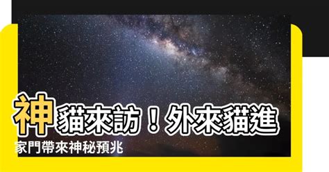 貓進家門|【貓進家門】神貓來訪！外來貓進家門帶來神秘預兆